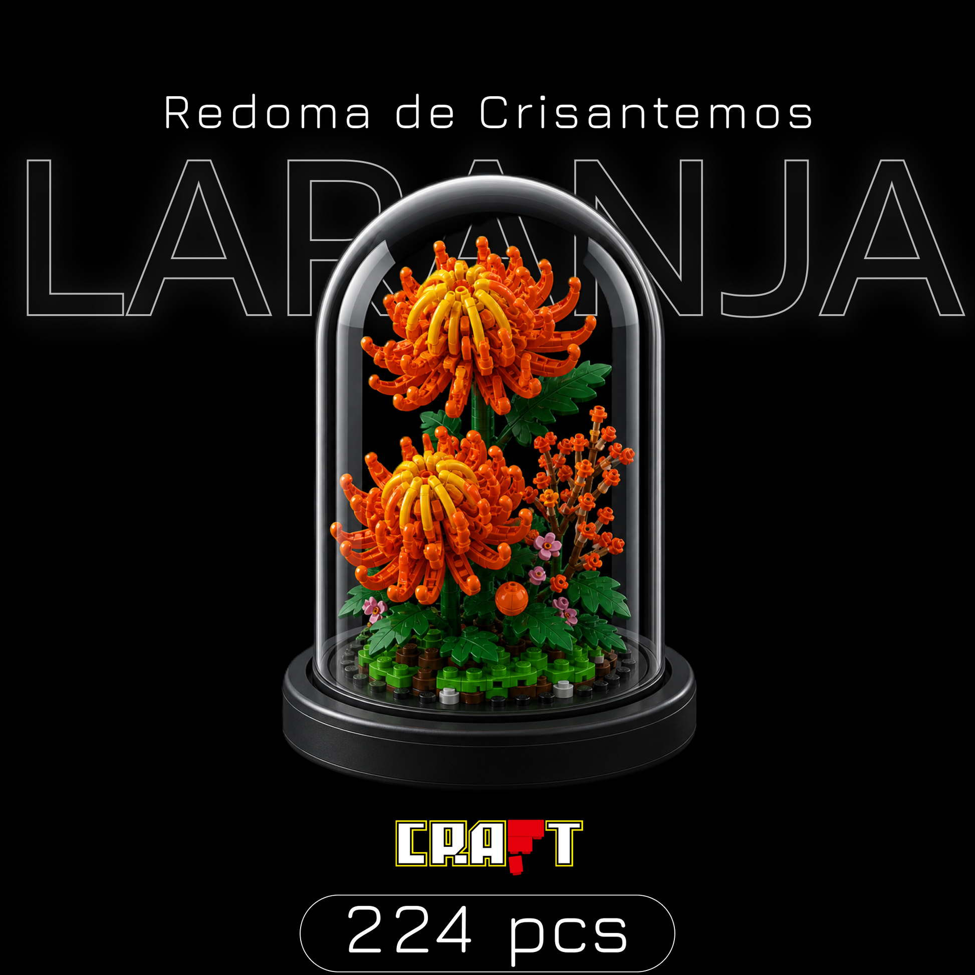 redoma-de-crisantemos-laranja-20260528-130121-nova-capa-primeira-midia