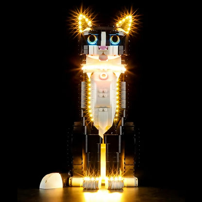 Iluminação para Gato de Smoking